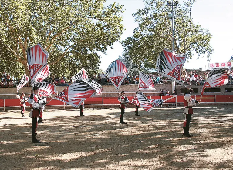 Sbandieratori di Assisi a Francia nel 2005